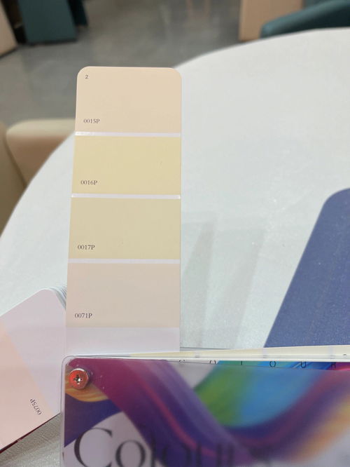 能看看你们乳胶漆选的什么颜色吗