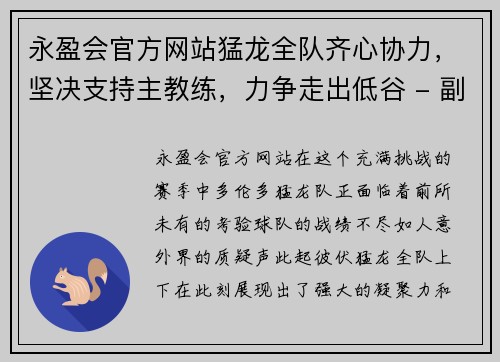 永盈会官方网站猛龙全队齐心协力，坚决支持主教练，力争走出低谷 - 副本