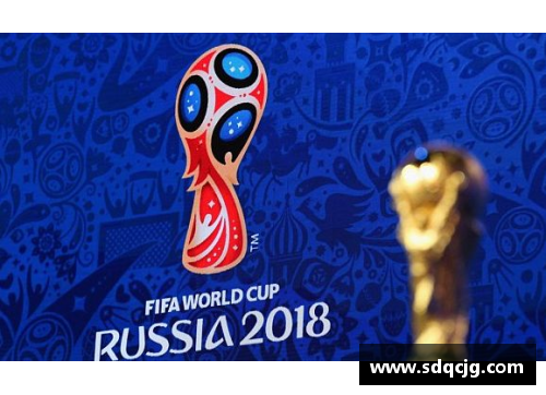 2022世界杯最终排名解析：阿根廷冠军的荣耀之路 - 副本 - 副本